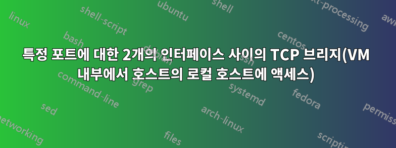 특정 포트에 대한 2개의 인터페이스 사이의 TCP 브리지(VM 내부에서 호스트의 로컬 호스트에 액세스)