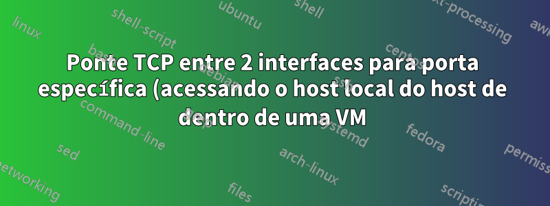 Ponte TCP entre 2 interfaces para porta específica (acessando o host local do host de dentro de uma VM)