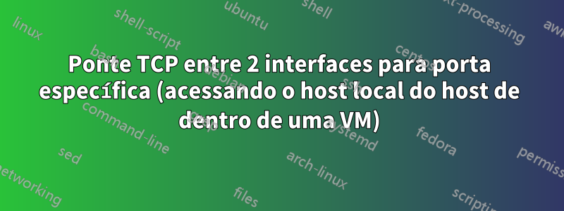 Ponte TCP entre 2 interfaces para porta específica (acessando o host local do host de dentro de uma VM)