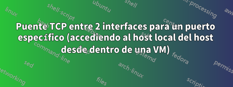 Puente TCP entre 2 interfaces para un puerto específico (accediendo al host local del host desde dentro de una VM)