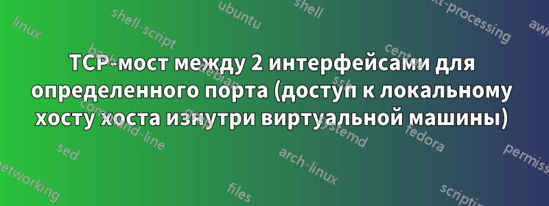 TCP-мост между 2 интерфейсами для определенного порта (доступ к локальному хосту хоста изнутри виртуальной машины)