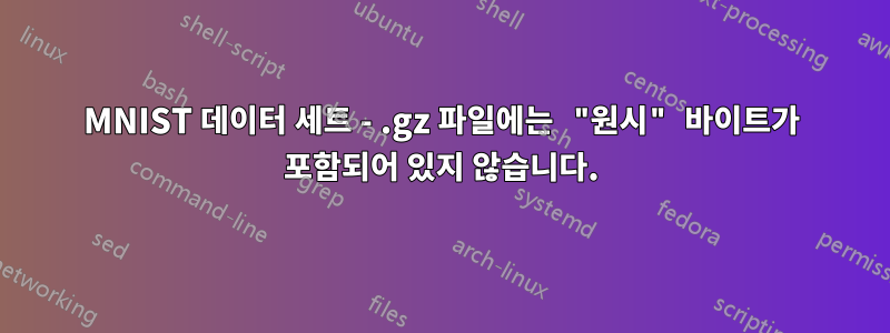 MNIST 데이터 세트 - .gz 파일에는 "원시" 바이트가 포함되어 있지 않습니다.