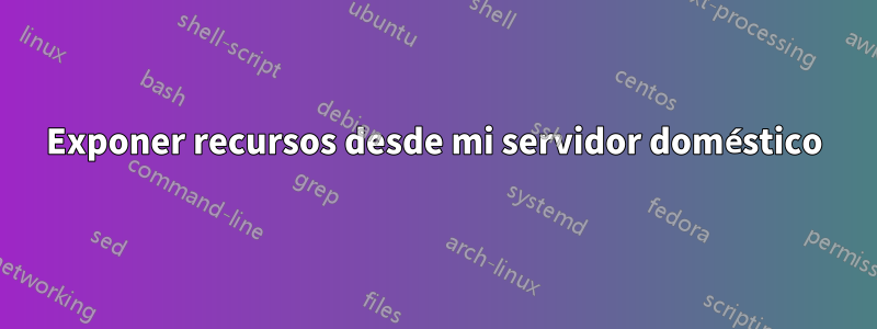 Exponer recursos desde mi servidor doméstico