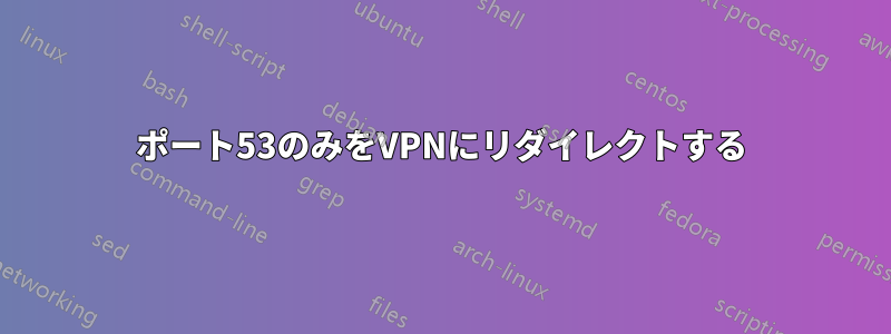 ポート53のみをVPNにリダイレクトする