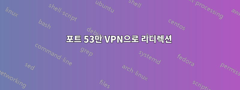 포트 53만 VPN으로 리디렉션