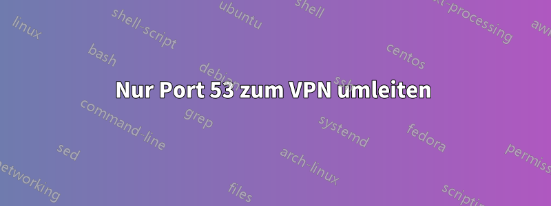 Nur Port 53 zum VPN umleiten