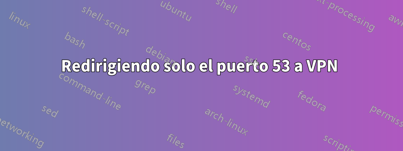 Redirigiendo solo el puerto 53 a VPN