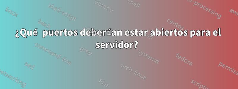 ¿Qué puertos deberían estar abiertos para el servidor? 