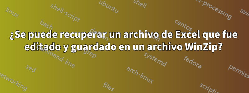 ¿Se puede recuperar un archivo de Excel que fue editado y guardado en un archivo WinZip?