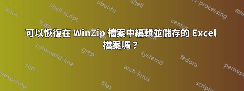 可以恢復在 WinZip 檔案中編輯並儲存的 Excel 檔案嗎？