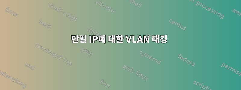 단일 IP에 대한 VLAN 태깅