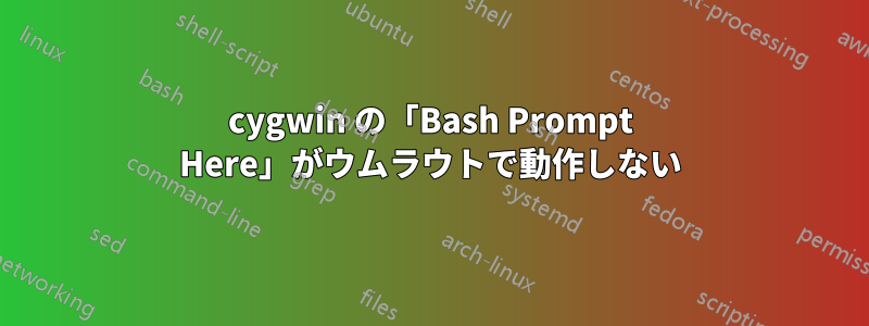 cygwin の「Bash Prompt Here」がウムラウトで動作しない