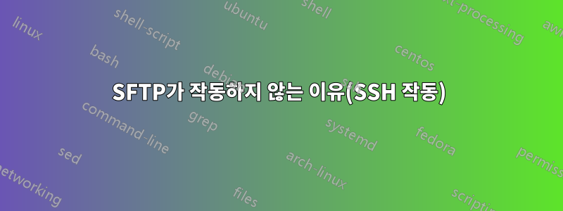 SFTP가 작동하지 않는 이유(SSH 작동)