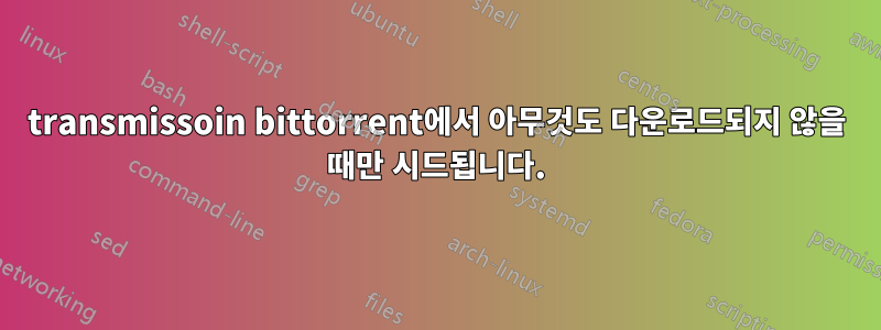 transmissoin bittorrent에서 아무것도 다운로드되지 않을 때만 시드됩니다.