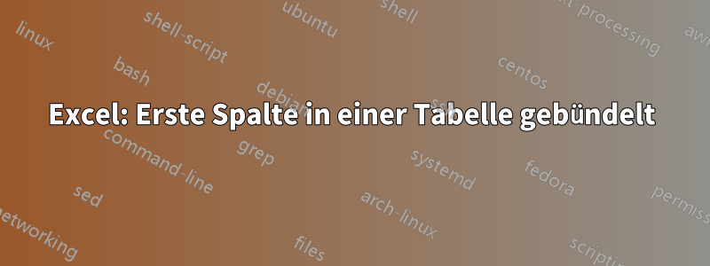 Excel: Erste Spalte in einer Tabelle gebündelt