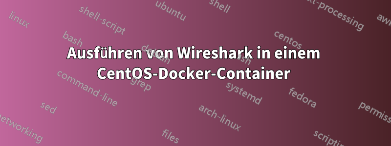 Ausführen von Wireshark in einem CentOS-Docker-Container