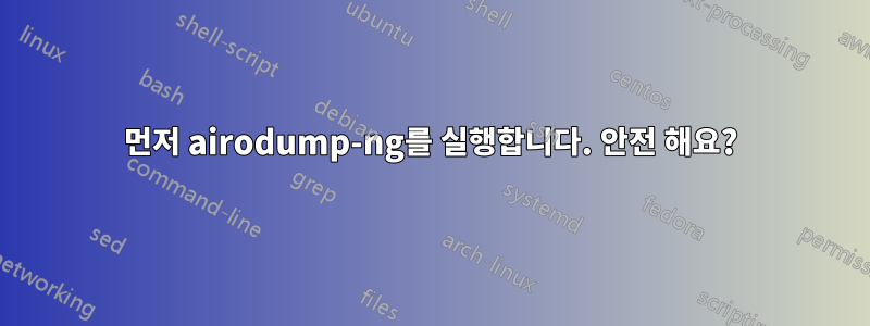 먼저 airodump-ng를 실행합니다. 안전 해요?