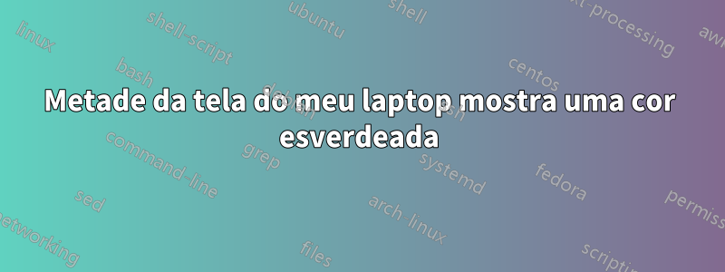 Metade da tela do meu laptop mostra uma cor esverdeada