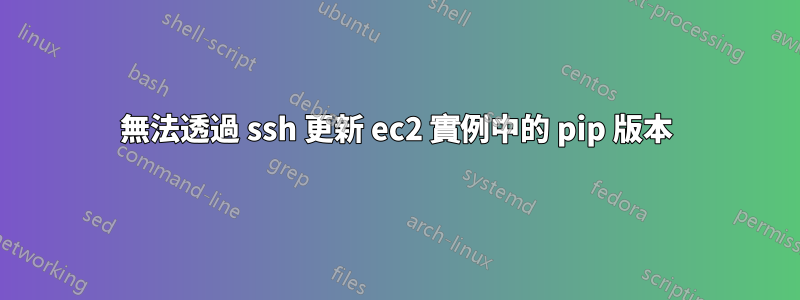 無法透過 ssh 更新 ec2 實例中的 pip 版本