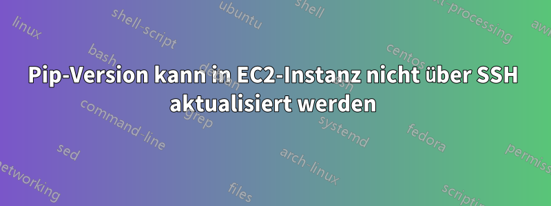 Pip-Version kann in EC2-Instanz nicht über SSH aktualisiert werden