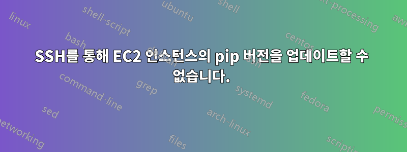 SSH를 통해 EC2 인스턴스의 pip 버전을 업데이트할 수 없습니다.