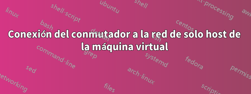 Conexión del conmutador a la red de solo host de la máquina virtual