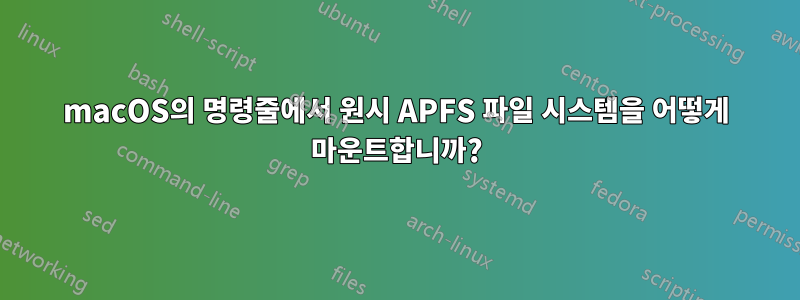 macOS의 명령줄에서 원시 APFS 파일 시스템을 어떻게 마운트합니까?