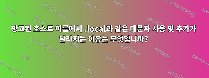 광고된 호스트 이름에서 .local과 같은 대문자 사용 및 추가가 달라지는 이유는 무엇입니까?