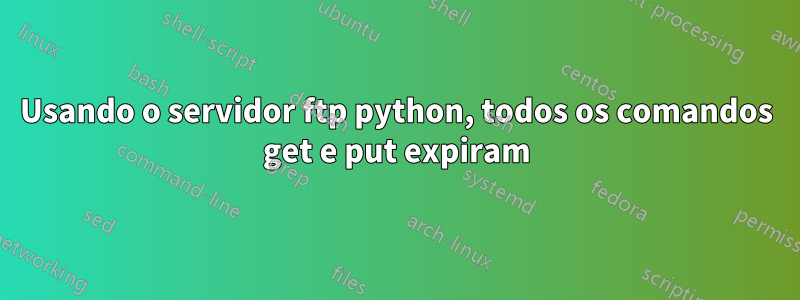 Usando o servidor ftp python, todos os comandos get e put expiram