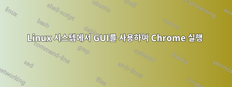 Linux 시스템에서 GUI를 사용하여 Chrome 실행