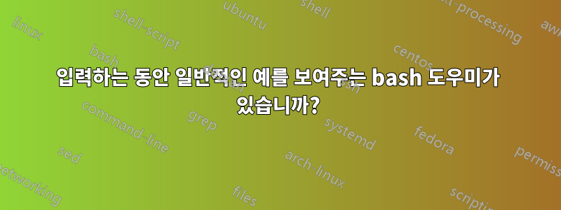 입력하는 동안 일반적인 예를 보여주는 bash 도우미가 있습니까?