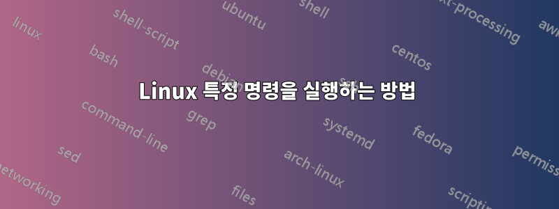 Linux 특정 명령을 실행하는 방법