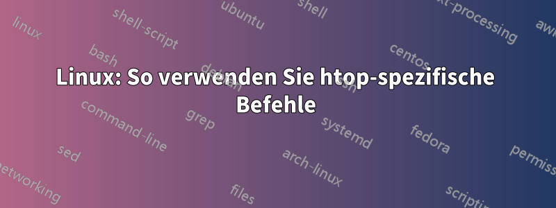 Linux: So verwenden Sie htop-spezifische Befehle