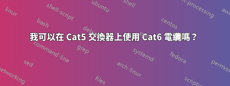 我可以在 Cat5 交換器上使用 Cat6 電纜嗎？