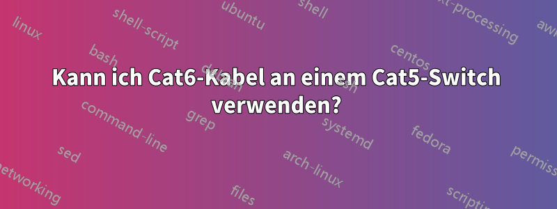 Kann ich Cat6-Kabel an einem Cat5-Switch verwenden?