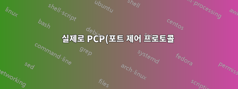 실제로 PCP(포트 제어 프로토콜)를 사용하시나요?