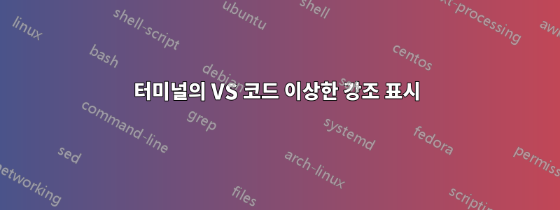 터미널의 VS 코드 이상한 강조 표시