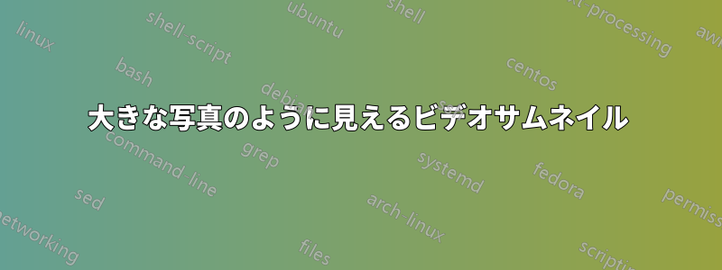 大きな写真のように見えるビデオサムネイル