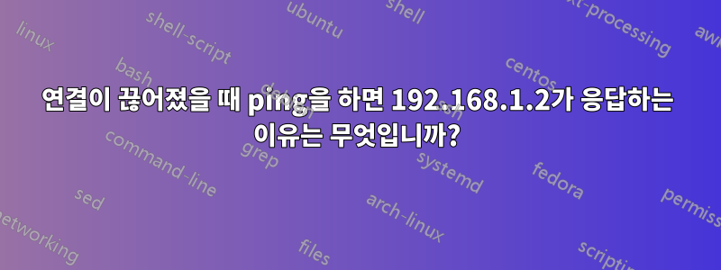 연결이 끊어졌을 때 ping을 하면 192.168.1.2가 응답하는 이유는 무엇입니까?
