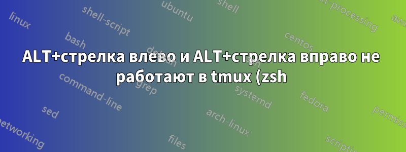 ALT+стрелка влево и ALT+стрелка вправо не работают в tmux (zsh) на Mac OSX