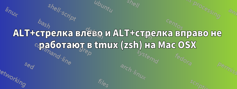 ALT+стрелка влево и ALT+стрелка вправо не работают в tmux (zsh) на Mac OSX