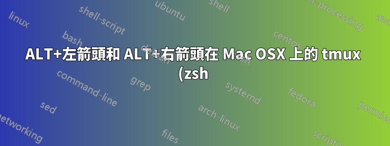 ALT+左箭頭和 ALT+右箭頭在 Mac OSX 上的 tmux (zsh) 中不起作用