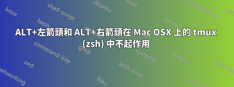 ALT+左箭頭和 ALT+右箭頭在 Mac OSX 上的 tmux (zsh) 中不起作用
