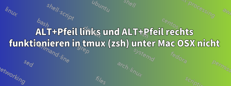 ALT+Pfeil links und ALT+Pfeil rechts funktionieren in tmux (zsh) unter Mac OSX nicht
