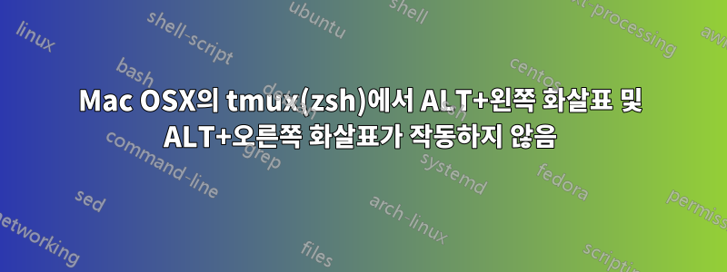 Mac OSX의 tmux(zsh)에서 ALT+왼쪽 화살표 및 ALT+오른쪽 화살표가 작동하지 않음