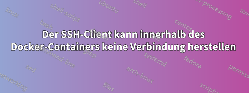 Der SSH-Client kann innerhalb des Docker-Containers keine Verbindung herstellen
