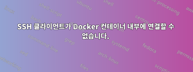 SSH 클라이언트가 Docker 컨테이너 내부에 연결할 수 없습니다.