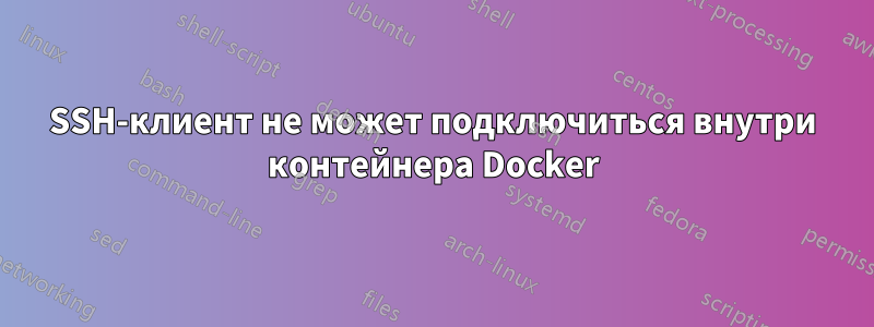 SSH-клиент не может подключиться внутри контейнера Docker