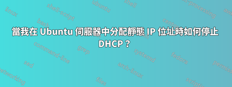 當我在 Ubuntu 伺服器中分配靜態 IP 位址時如何停止 DHCP？