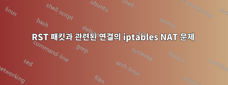 RST 패킷과 관련된 연결의 iptables NAT 문제